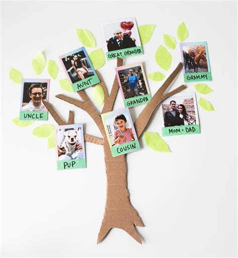 Diy family tree - 71 photo