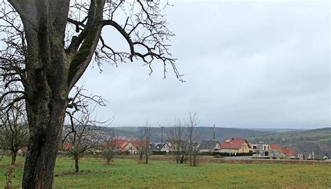 Nachfrage Nach Baupl Tzen Ist Gro Stimme De