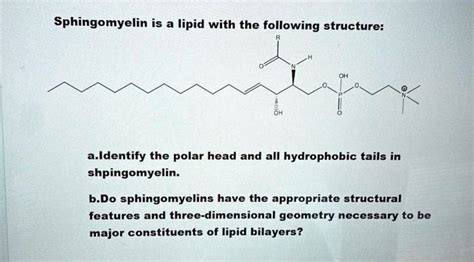 SOLVED: Sphingomyelin is a lipid with the following structure: a ...