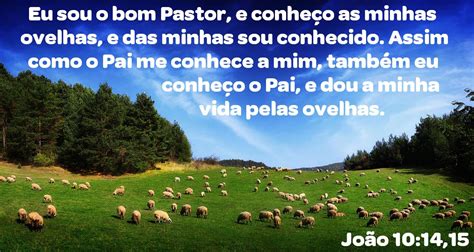 Eu Sou O Bom Pastor E Conheço As Minhas Ovelhas E Das Minhas Sou