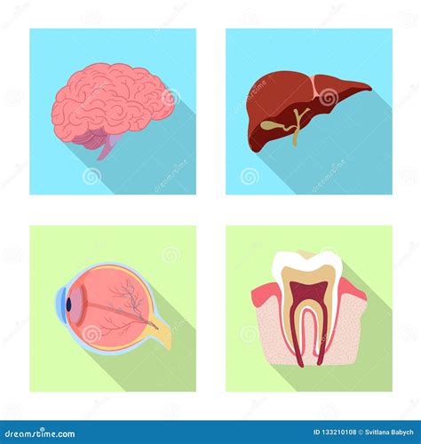 Isolated Object Of Body And Human Symbol Collection Of Body And