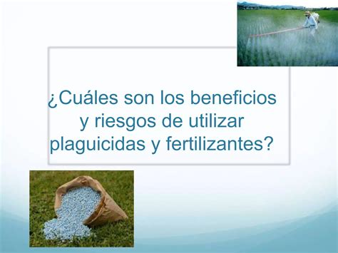 Beneficios Y Riesgos De Utilizar Fertilizantes Y Plaguicidas Ppt