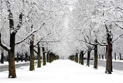 Inverno - Electomagazine