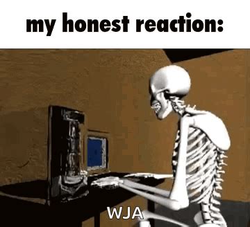 My Honest Reaction My Reaction GIF - My honest reaction My reaction My ...