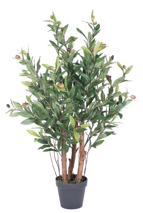 Earthflora Euro Collection Olive And Fig Trees 30 Artificial Olive