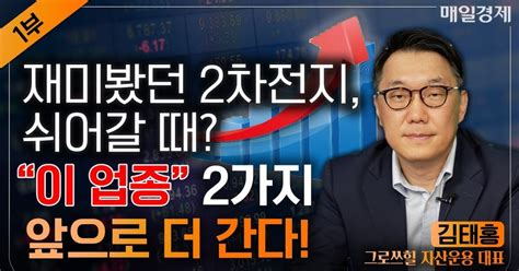 2차전지 주식 당분간 쉬어갈 때 더 오를 ‘이 주식 자이앤트tv