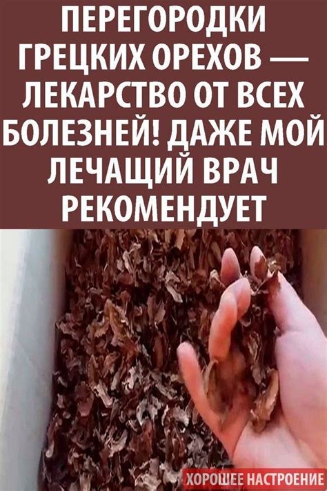 Перегородки грецких орехов: польза, о которой вы даже не догадывались ...