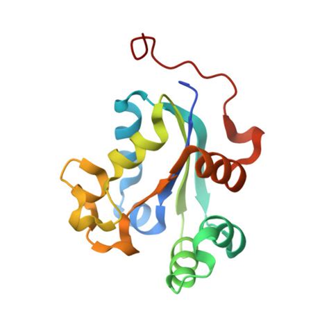 Rcsb Pdb Fkb Structure Of Ndpk H G And Tenofovir Diphosphate