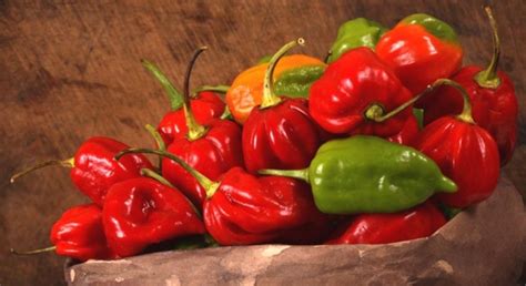 Хабанеро-перец и другие сорта – выбираем по остроте и вкусу!