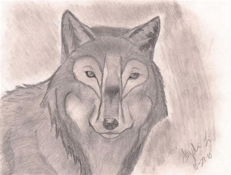 How To Draw Realistic Wolf