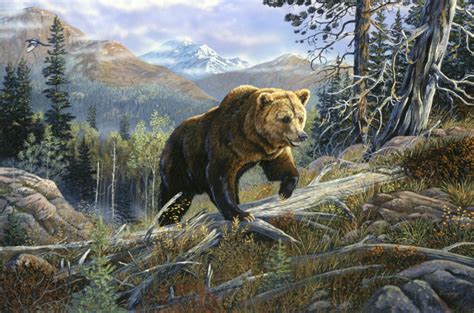 Wildlife Art Prints Plus Original Paintings With A Wide Selection From