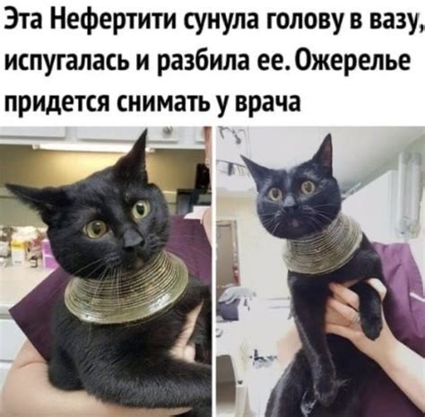 Нефертити | Пикабу