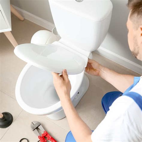 Toilet Seat Replacement | Clickapro