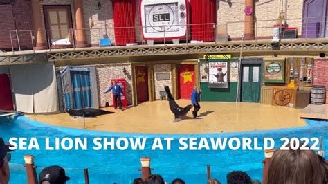 Seaworld Tour San Diego 2022 Sea Lion Live Show Youtube