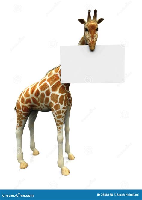 Giraffe With Sign Royalty Free Stock Photos Image 7688158