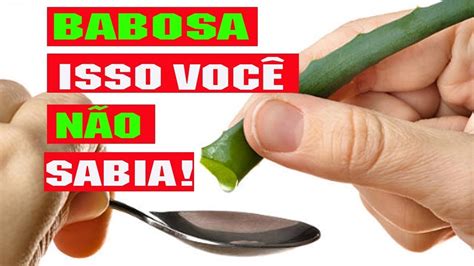 Babosa e seus benefícios esses você não sabia YouTube