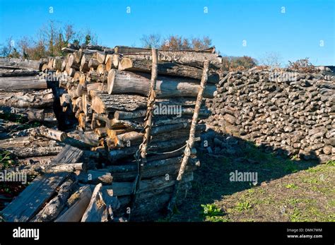 Stacked Firewood Logs For Domestic Fuel France Stock Photo Alamy