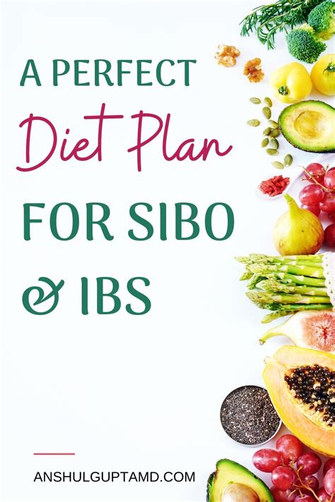 A perfect diet plan for sibo ibs – Artofit