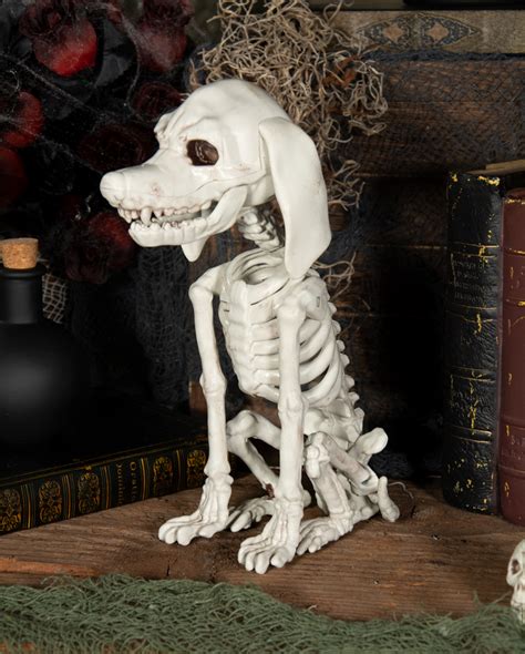 Pudel Hundeskelett Als Halloween Deko Cm Horror Shop