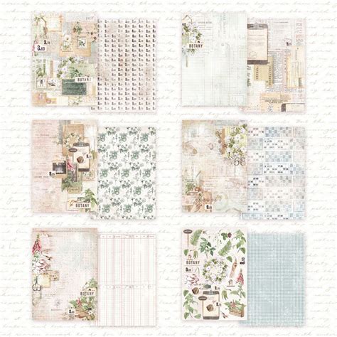 Набор бумаги А4 "Botany journal", 12 листов (DreamLight Studio) купить ...