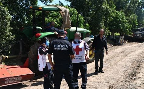 Muere hombre atacado por abejas cerca del campo Morelia Culiacán