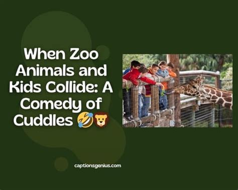 300+ Zoo Captions For Instagram - Unleash Your Wild Side!