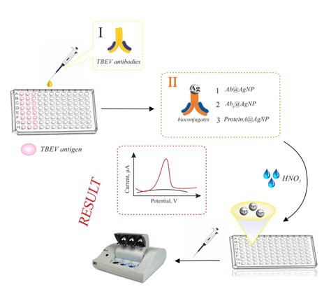 Schematic Illustration Of The Electrochemical Immunosensor Approach For