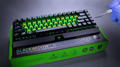 Asmr Gaming Keyboard Edu Svet Gob Gt