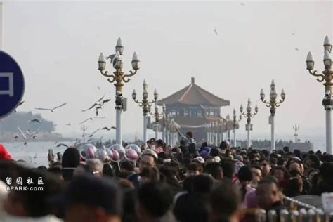 大年初二 有人凌晨就在排队 有景区海鸥被喂撑