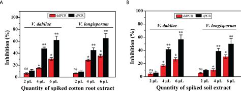 Frontiers Detection And Quantification Of Verticillium Dahliae And V