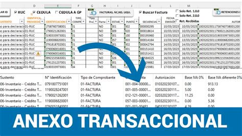 Gu A Completa Generar El Anexo Transaccional Con Plantilla De Excel