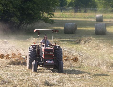 Haying pastures to mind wildlife | The Arkansas Democrat-Gazette ...