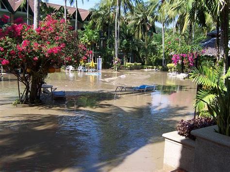 Phuket Thailand Tsunami / Thailand Tsunami Patong Beach Phuket | Photography by DEDDEDA / Kamala ...