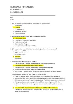 Examen Diciembre 2013 Preguntas Y Respuestas EXAMEN FINAL