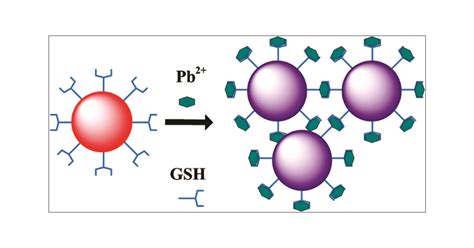 Colorimetric Detection Of Pb Using Glutathione Functionalized Gold