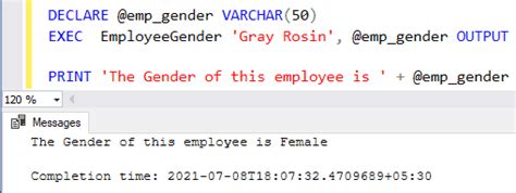 Sql Server Stored Procedure Output Parameter