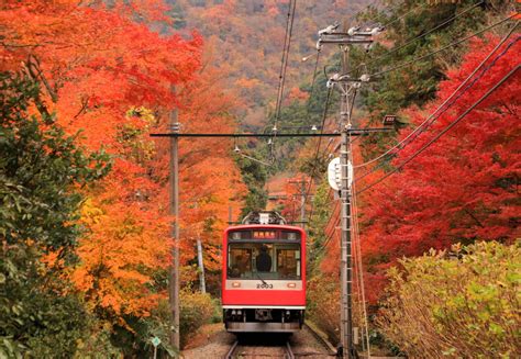 【紅葉旅は箱根で決まり】1泊2日モデルコースとおすすめスポットをご紹介 Veltra旅行ガイド