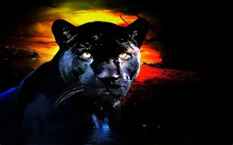 [100+] Black Panther Animal Wallpapers | Wallpapers.com