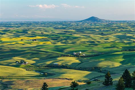 Steptoe Butte - Palouse Vista | Tekoa Mountain, Whitman County ...