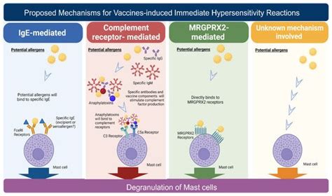 Immediate Hypersensitivity Reactions Induced By COVID 19 Vaccines