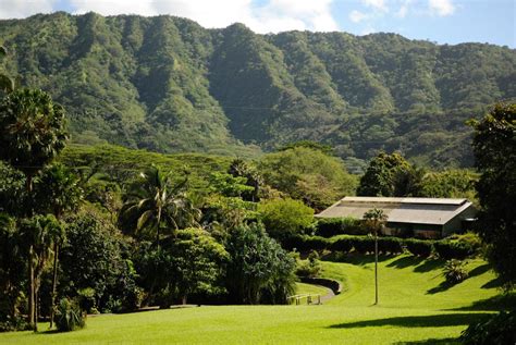 Gu A De Los Mejores Jardines Nicos De Oahu Home Healthcare