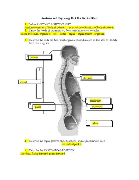 Unit 6 Test Anatomy And Physiology