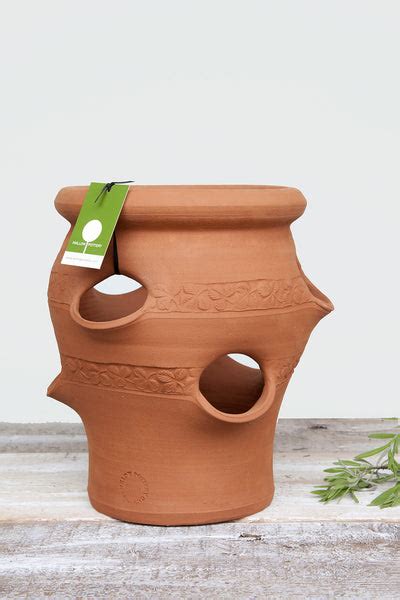 Terracotta Strawberry Planter – Willow Pottery