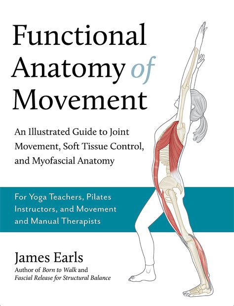 Functional Anatomy Of Movement An Illustrated Guide To Joint Movement