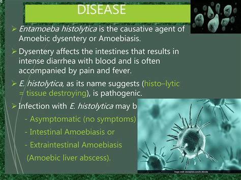 Entamoeba Histolytica Ppt