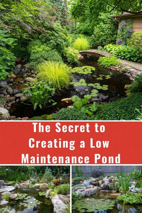 The Secret To Creating A Low Maintenance Pond Artofit