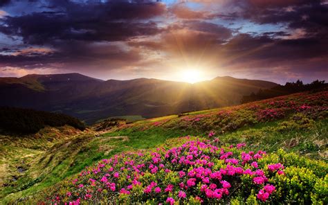 Mountain Sunrise Desktop Background wallpaper | nature and landscape ...