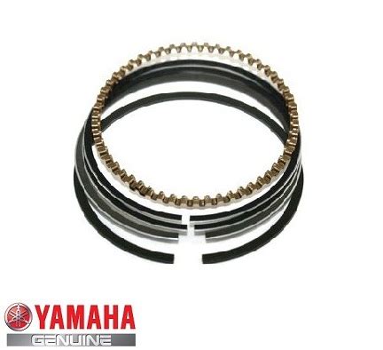 Set Segmenti Yamaha Yfa Breeze Yfm Grizzly T Cc D