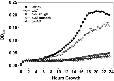 Genomic Instability Of Tnsmu2 Contributes To Streptococcus Mutans