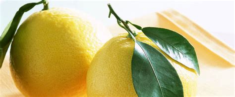 The Average Size Of Vagina Health